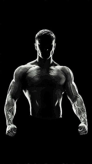 Muscular Male Bodybuilder Silhouette With Veiny Arms And Defined Chest HD phone wallpaper