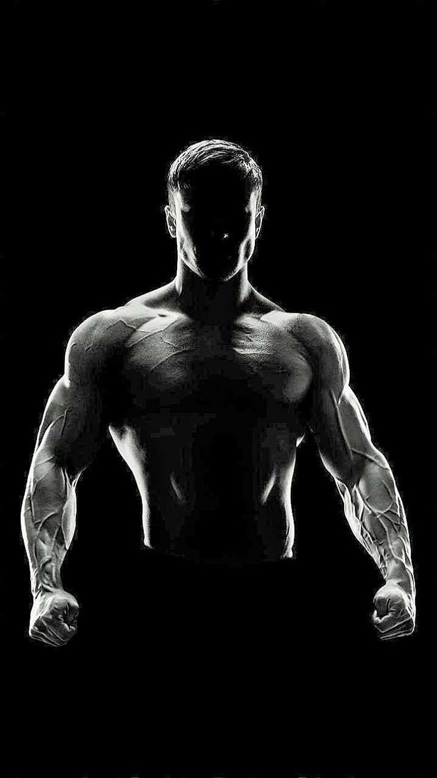 Muscular Male Bodybuilder Silhouette With Veiny Arms And Defined Chest HD phone wallpaper