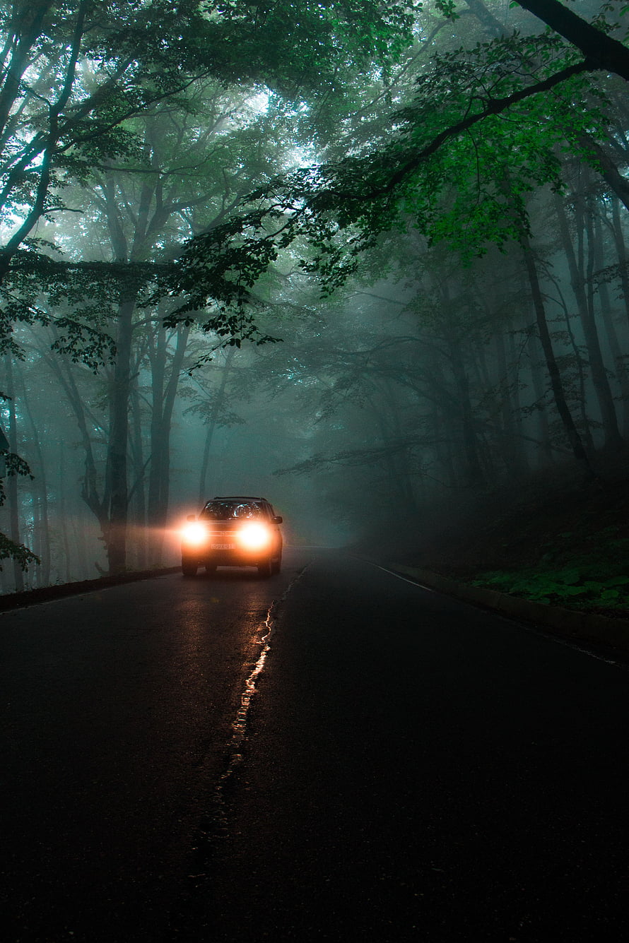 Car with glowing headlights driving on a wet road through a misty forest at night HD phone wallpaper