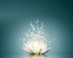 Glowing White Lotus Flower with Rising Sparkles on Teal Background HD wallpaper