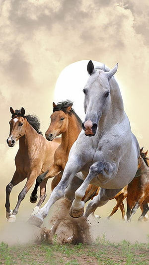 Dynamic herd of galloping horses kicking up dust against a bright sun backdrop HD phone wallpaper