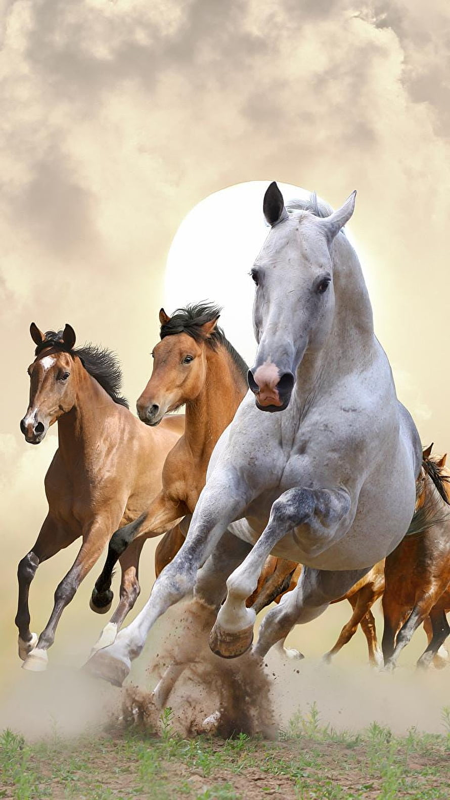 Dynamic herd of galloping horses kicking up dust against a bright sun backdrop HD phone wallpaper