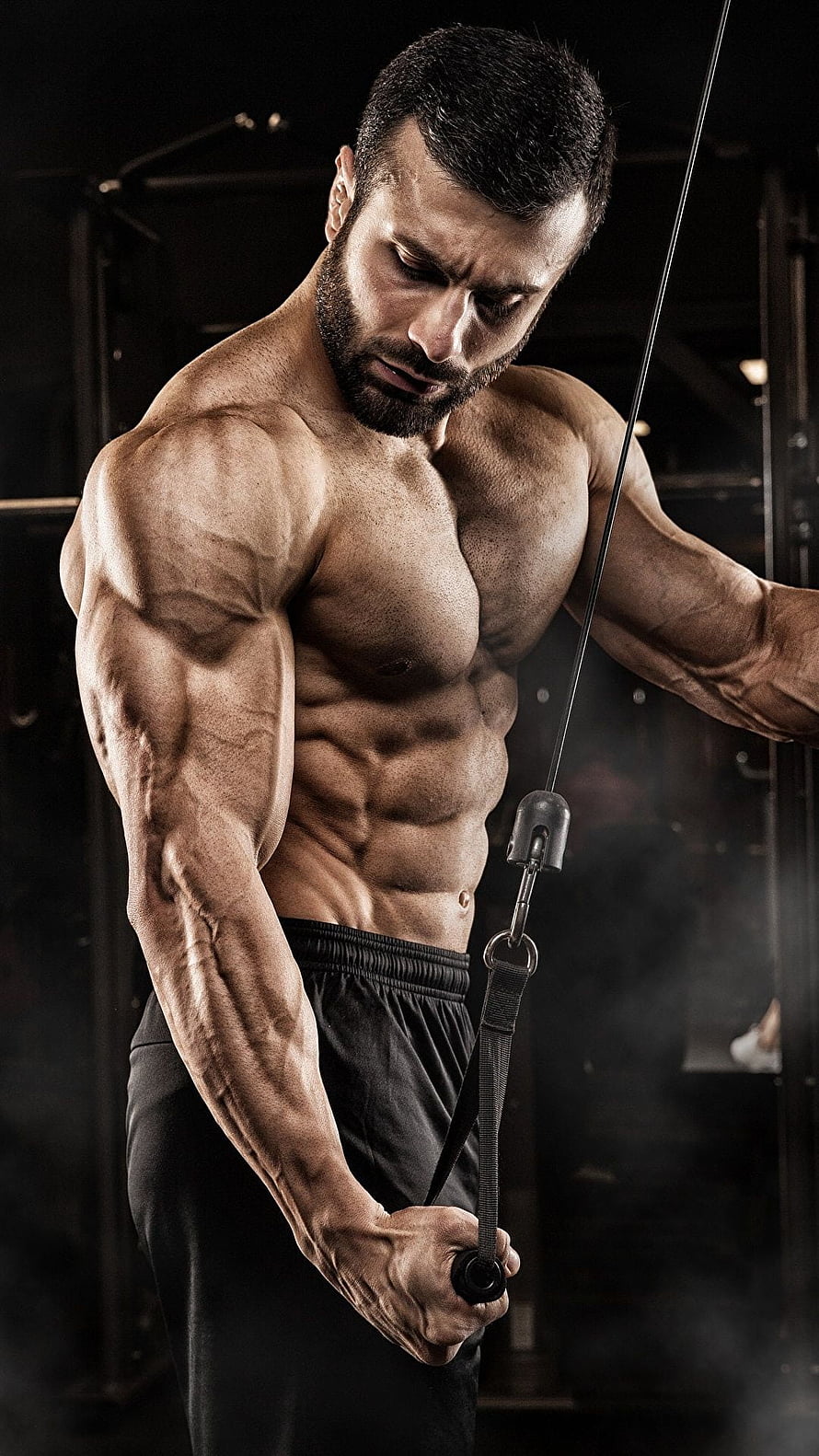 Muscular Man Performing Cable Tricep Pushdown Exercise in Dark Gym, Men Muscle Workout Fitness Sport, Bodybuilding HD phone wallpaper