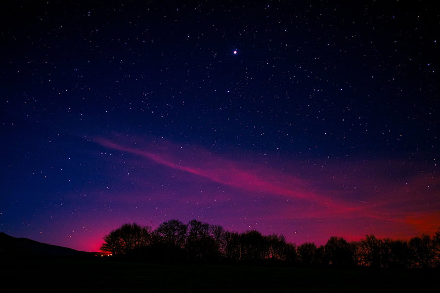 Starry Night Sky with Pink Aurora and Silhouetted Trees HD wallpaper