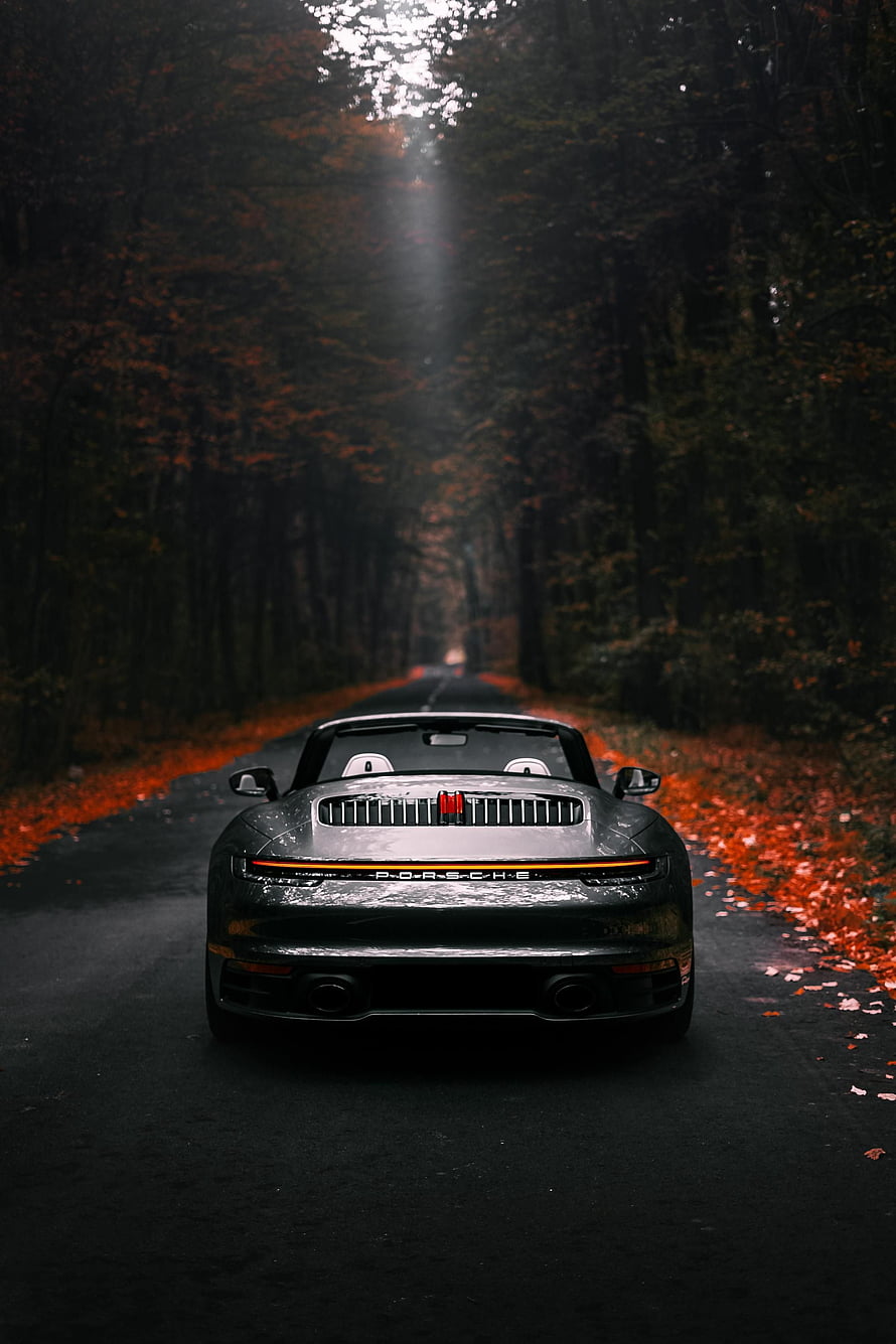 Dark Green Porsche 911 Targa Driving on a Misty Autumn Forest Road HD phone wallpaper