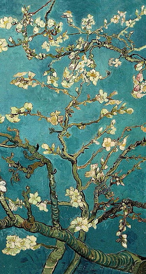 Van Gogh Almond Blossom Painting with White Flowers on Teal Background HD phone wallpaper