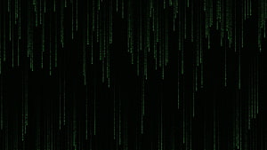 Matrix Digital Rain Green Code Streams on Black Background HD wallpaper