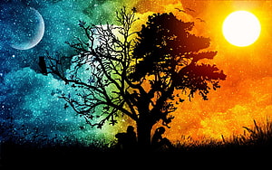 Silhouetted Tree and Figures Under a Split Sky of Moonlit Night and Golden Day HD wallpaper