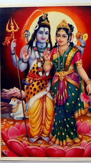 Lord Shiva and Goddess Parvati Standing on Lotus with Nandi and Trishul HD phone wallpaper