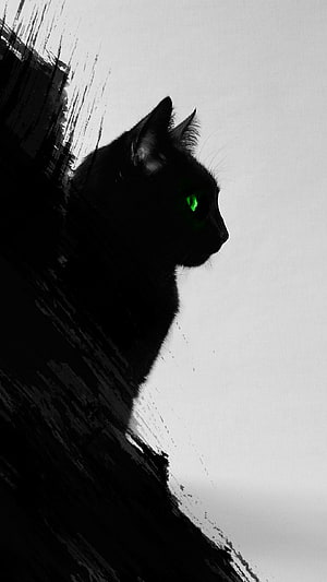 Mysterious Black Cat With Glowing Green Eyes Silhouette Art HD phone wallpaper