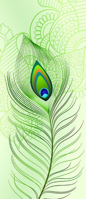 Elegant Peacock Feather Vector Art with Intricate Green Mandala Background Pattern, Sree Krishna feather, Peacock, aqua, art, Hindu, OM, Shanti HD phone wallpaper