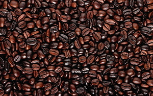 Close-up texture of roasted coffee beans filling the entire frame with rich brown tones HD wallpaper