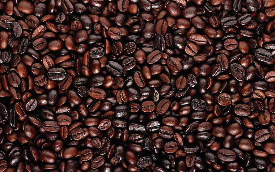 Close-up texture of roasted coffee beans filling the entire frame with rich brown tones HD wallpaper