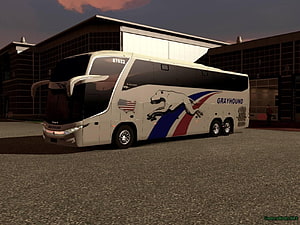 Grayhound Coach Bus Parked at Terminal Building at Dusk HD wallpaper
