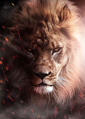 Majestic Male Lion Portrait With Fiery Sparks And Dramatic Lighting HD phone wallpaper