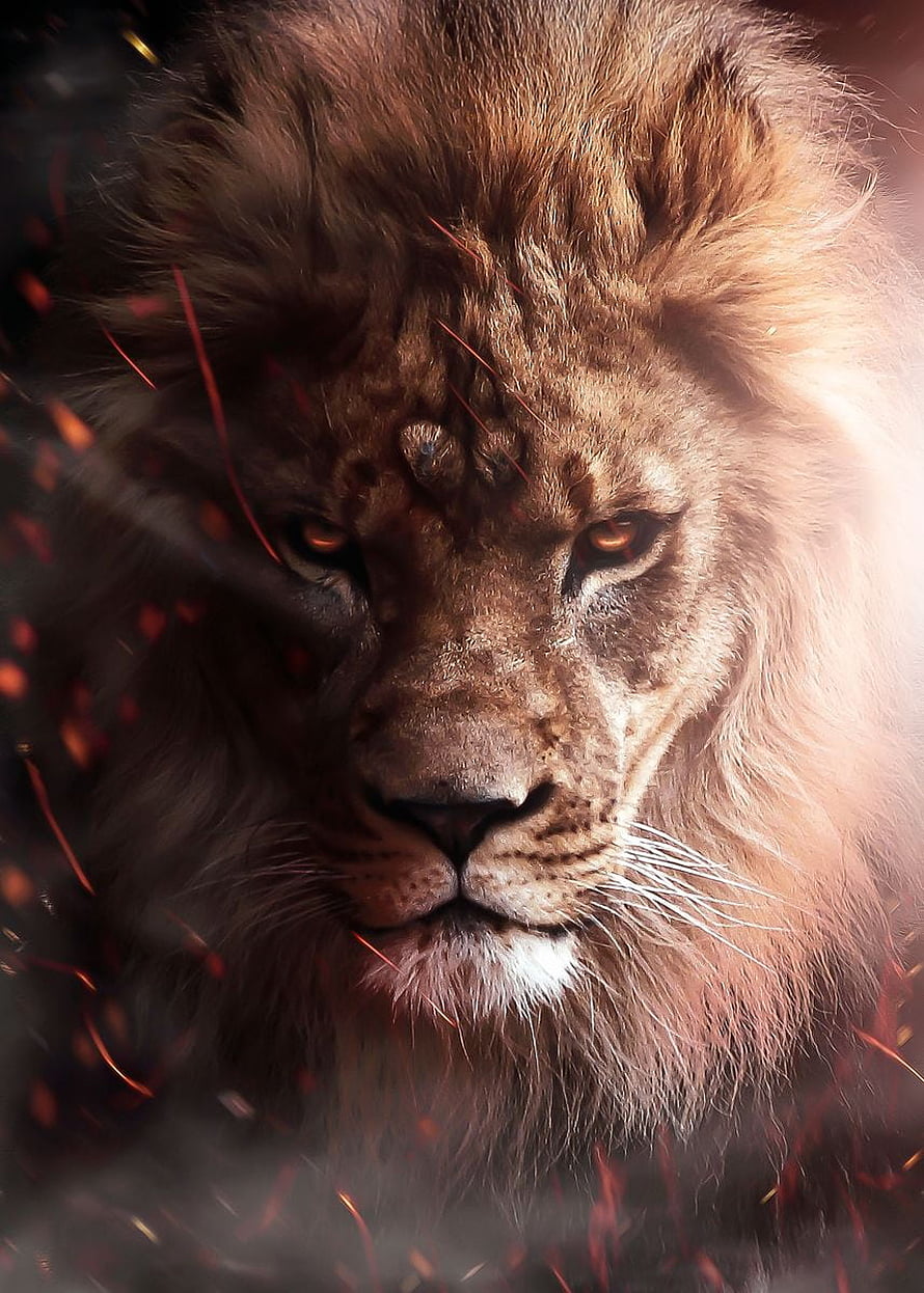 Majestic Male Lion Portrait With Fiery Sparks And Dramatic Lighting HD phone wallpaper