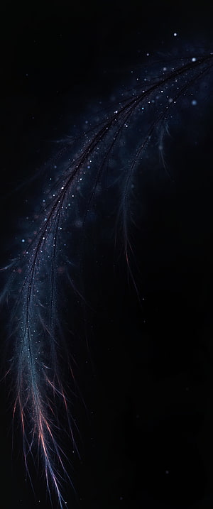 Ethereal Blue Feather With Glowing Stardust On Dark Background HD phone wallpaper