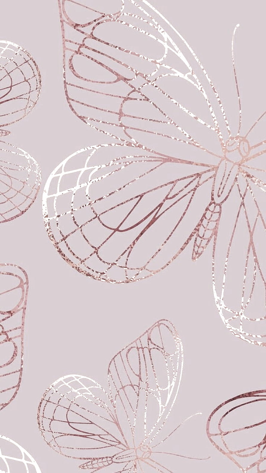 Rose Gold Butterfly Line Art Pattern on Soft Blush Background HD phone wallpaper