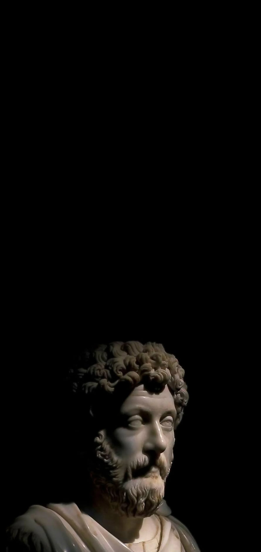 Classical Marble Bust of a Bearded Man with Curly Hair in Dramatic Lighting, Marcus Aurelius. Arte grega, Místico, Arte, Marcus Aurelius HD phone wallpaper