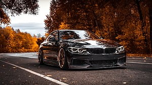 Black BMW 4 Series Coupe Parked on a Road with Autumn Foliage HD wallpaper
