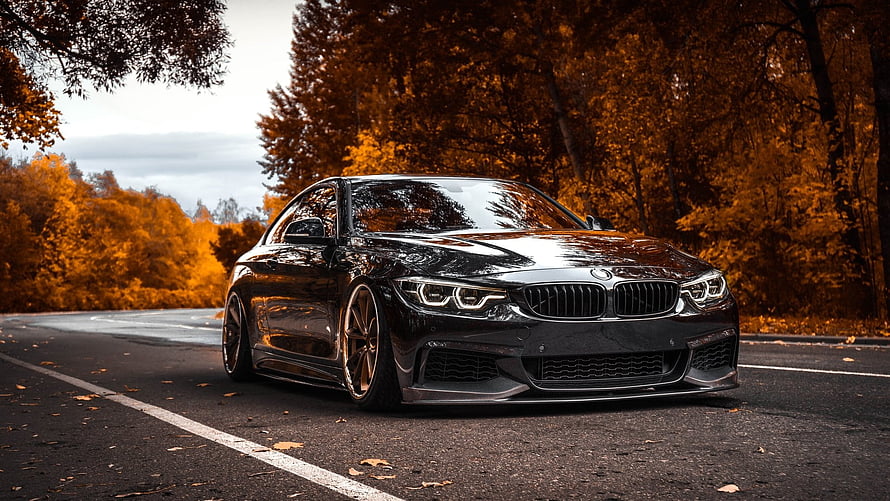 Black BMW 4 Series Coupe Parked on a Road with Autumn Foliage HD wallpaper