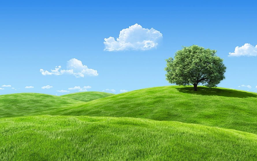 Lush Green Rolling Hills with a Single Tree Under a Bright Blue Sky HD wallpaper