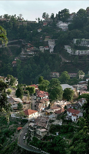 Mussoorie Hill Station Townscape with Winding Roads and Lush Greenery HD phone wallpaper