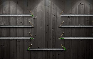 Dark Wood Wall With Empty Shelves And Green Moss Accents HD wallpaper