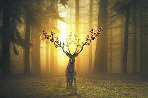 Surreal Stag With Blossoming Antlers Standing in a Misty Golden Forest HD wallpaper