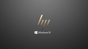 HP Windows 10 OEM Boot Screen with Gold Logo on Dark Grey Background HD wallpaper