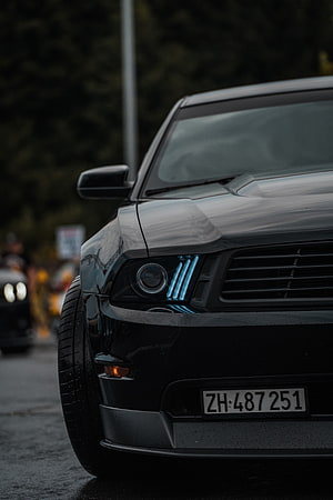 Close-up of a black Ford Mustang Shelby GT500 with blue racing stripes on the headlights HD phone wallpaper