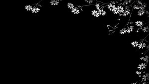 Elegant Black and White Floral Wallpaper with Butterfly HD wallpaper