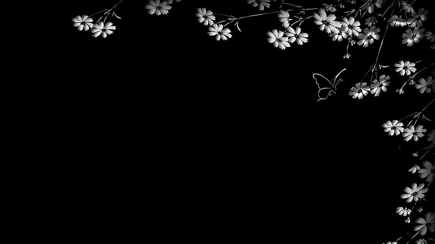 Elegant Black and White Floral Wallpaper with Butterfly HD wallpaper