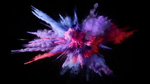 Vibrant Multicolor Powder Explosion Bursting Against Black Background HD wallpaper