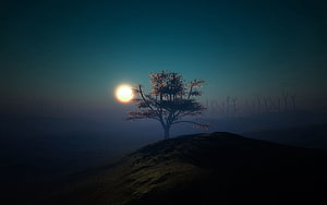Lone Tree Silhouette on Misty Hill at Twilight with Glowing Sun HD wallpaper