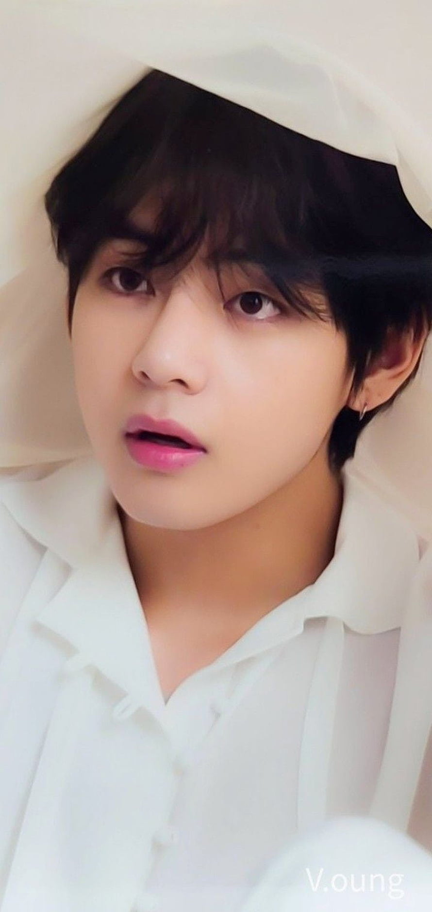 V from BTS in a White Shirt and Hat, Soft Studio Portrait HD phone wallpaper
