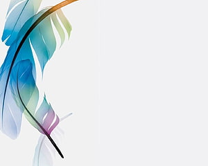 Colorful Abstract Feather Illustration on White Background HD wallpaper