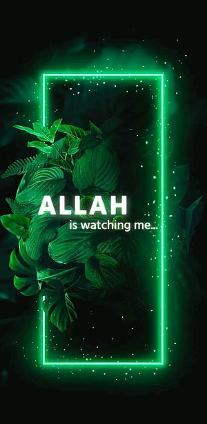 Green Neon Frame With Tropical Leaves And Islamic Quote Wallpaper HD phone wallpaper
