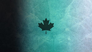 Black Maple Leaf Silhouette on Textured Teal and Dark Gradient Background HD wallpaper
