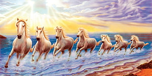 Seven White Horses Galloping Through Ocean Waves Under Golden Sunrise HD wallpaper