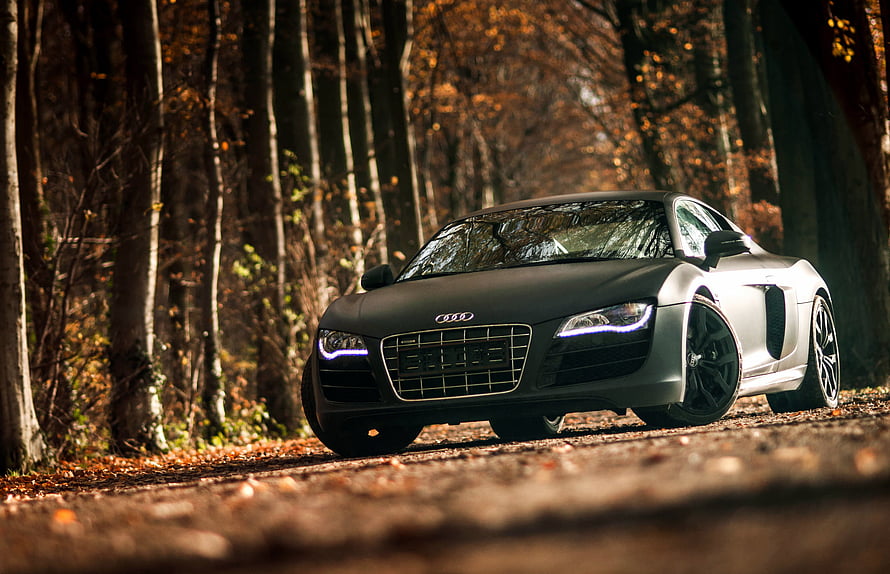 Audi R8 V10 sports car parked on a forest road with autumn foliage and warm golden light HD wallpaper