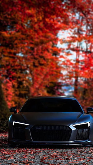 Matte Black Audi R8 Front View Amidst Vibrant Red Autumn Leaves HD phone wallpaper