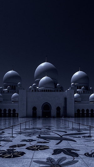 Sheikh Zayed Grand Mosque at Night with Blue Illumination and Intricate Courtyard Mosaics HD phone wallpaper