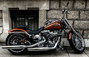 Orange Harley-Davidson Softail Custom Cruiser Motorcycle Parked on Urban Street HD wallpaper