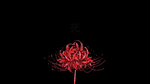Tokyo Ghoul Red Spider Lily on Black Background with Japanese Kanji HD wallpaper