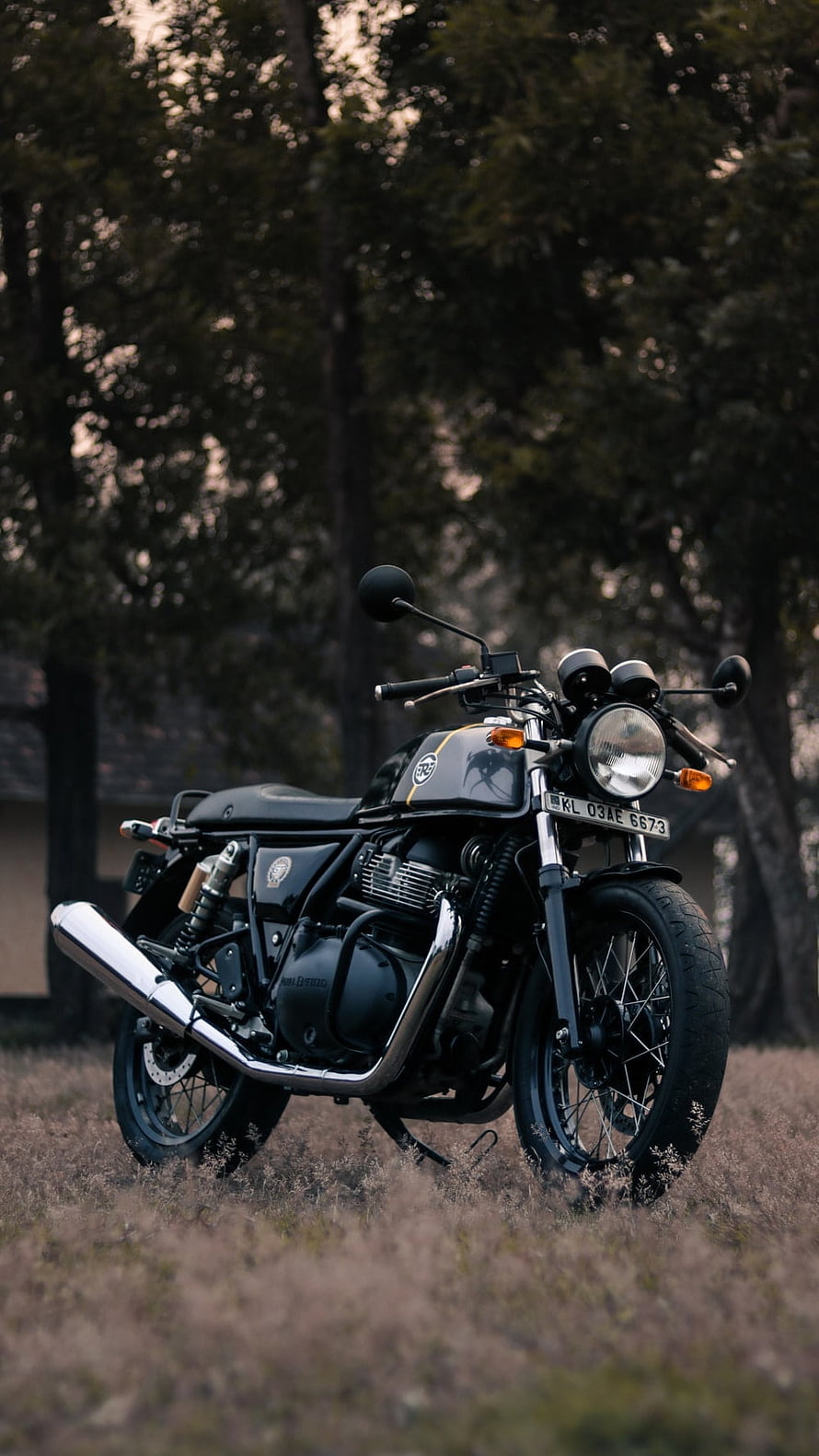 Royal Enfield Classic 350 Matte Black Motorcycle in Forest Setting HD phone wallpaper
