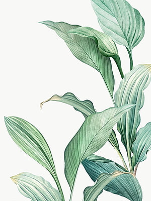 Elegant Green Tropical Leaves Illustration for Modern Interior Decor HD phone wallpaper