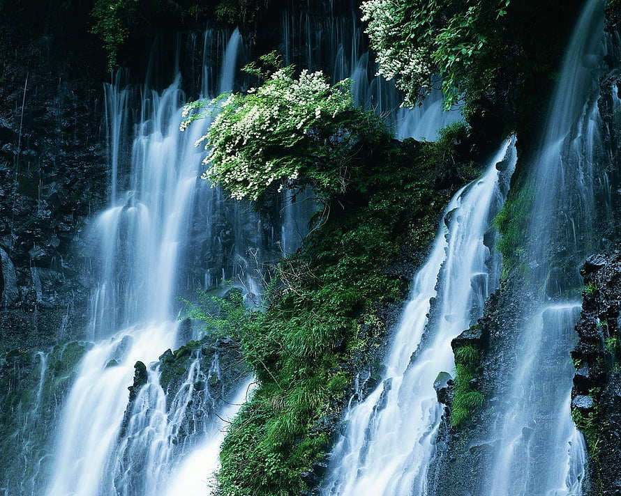 Misty Forest Waterfall Cascading Over Mossy Rocks and Lush Green Foliage HD wallpaper