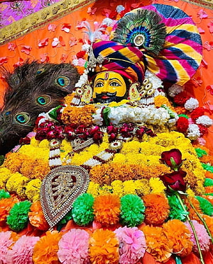 Vibrant Kanwar Mela Devotee Portrait With Peacock Feather Turban And Floral Garland HD phone wallpaper