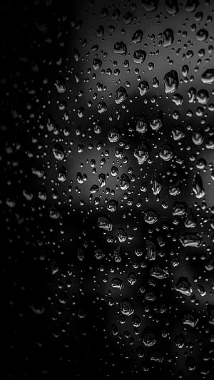 Monochrome Rain Droplets on Glass with Dramatic Black Background HD phone wallpaper